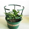 thumbnail image 4 of 6PCS Garden Climbing Trellis Plant Support Cage Sturdy Plastic Stakes for Plant, 4 of 8