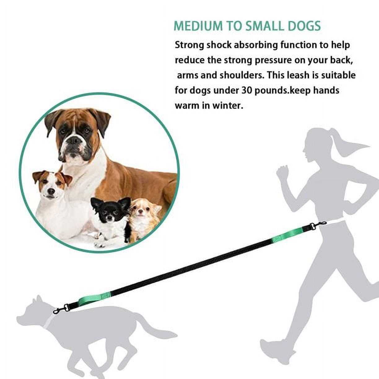 Hands free dog top leash for small dogs
