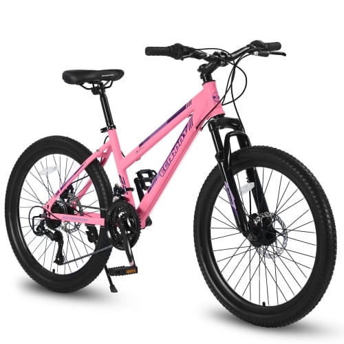RAISTYW 26 inch Mountain Bike for Womens, 21 Speed with High-Carbon Steel Frame Bike for Adults, Dual Disc Brake, Pink