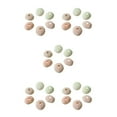 thumbnail image 1 of serony 10pcs/set Meticulously Crafted Conch Shell Flower Pot Decoration For Delicate Touch Sea Urchin Shell Pink sea urchin4-5cm 5Set, 1 of 6