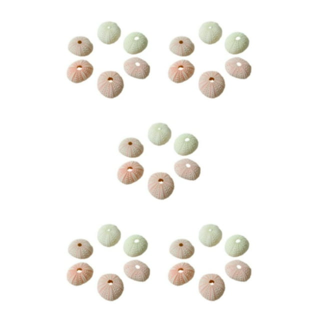 serony 10pcs/set Meticulously Crafted Conch Shell Flower Pot Decoration For Delicate Touch Sea Urchin Shell Pink sea urchin4-5cm 5Set