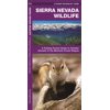 Wildlife and Nature Identification: Sierra Nevada Wildlife : A Folding Pocket Guide to Familiar Animals of the Montane Forest Region (Other)