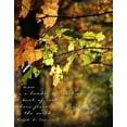 thumbnail image 2 of Mansfield, Kathy 15x18 Gold Ornate Wood Framed with Double Matting Museum Art Print Titled - Bundle of Relations, 2 of 4