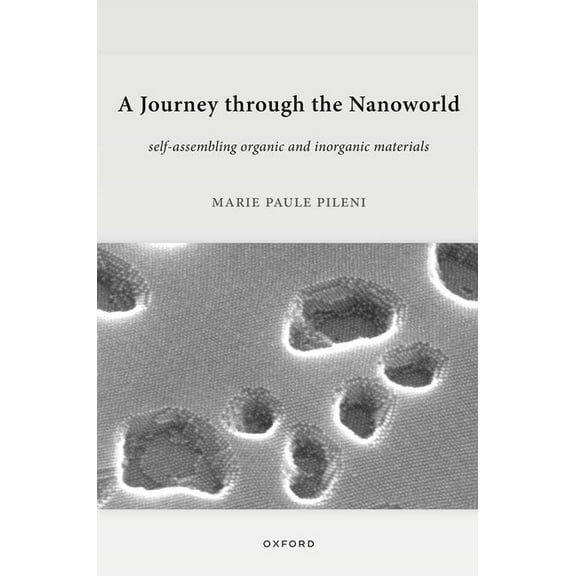 A Journey Through the Nanoworld: Self-Assembling Organic and Inorganic Materials, (Paperback)