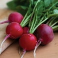thumbnail image 3 of Burpee Cherry Belle Radish Seeds - Non-GMO, Heirloom Vegetable Gardening Seeds, 4g, 1-Pack, 3 of 6