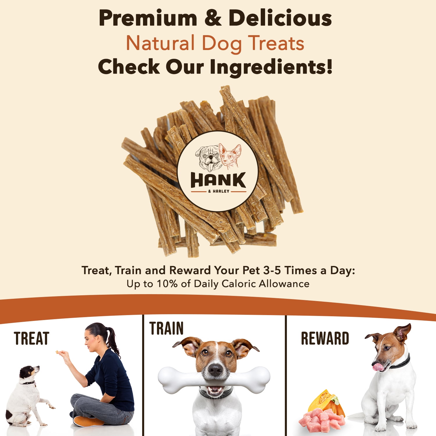 Training Bites - USA Lean Beef Soft Dog Treats with Pumpkin. NO Flour, Fillers or Sugar