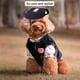 thumbnail image 4 of Gorro para perro, gorra de béisbol para mascotas/gorra deportiva para perros/gorra con visera con orificios para las orejas y correa para la barbilla para perros y gatos, MFZFUKR 220539-3, 4 of 8