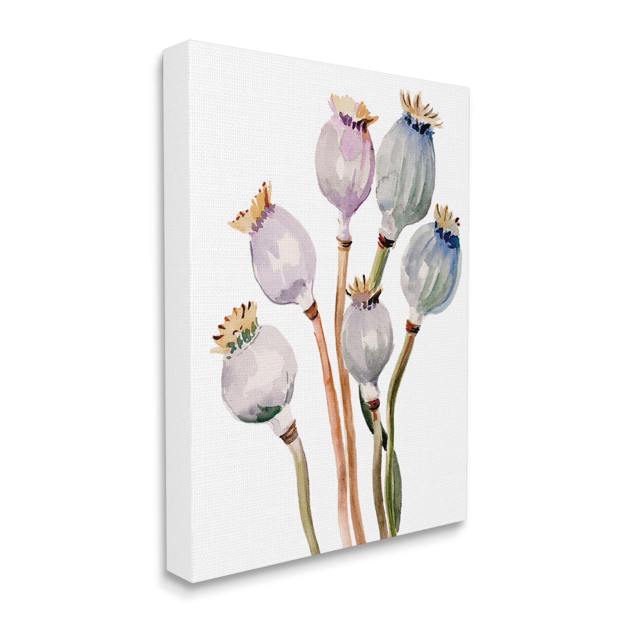 Stupell Industries Poppy Pods Watercolor Botanicals Botanical & Floral Painting Gallery Wrapped Canvas Print Wall Art