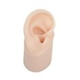 thumbnail image 1 of Modelo de oreja de silicona perfecl izquierda entrenamiento auditivo, 1 of 8