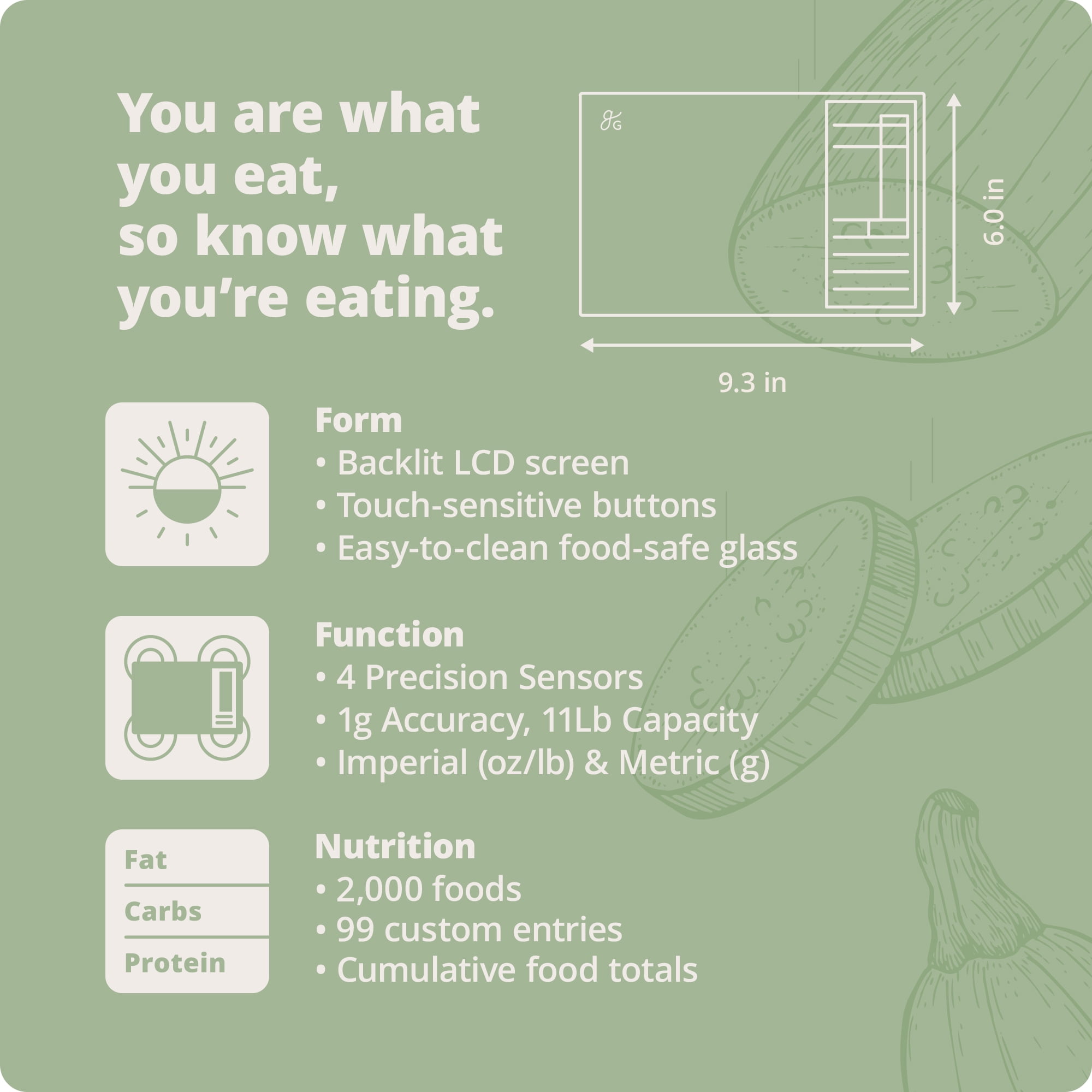 Greater Goods Nutrition Scale, Food Grade Glass, Calorie Counting Scale, Meal Prep Scale, and Weight Loss Scale, Designed in St. Louis, Sage Green