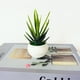 thumbnail image 4 of Simulación Interior Verde T Pequeño Bonsai Artificial Plantas en maceta de imitación de hierba verde Decoración del hogar, 4 of 7