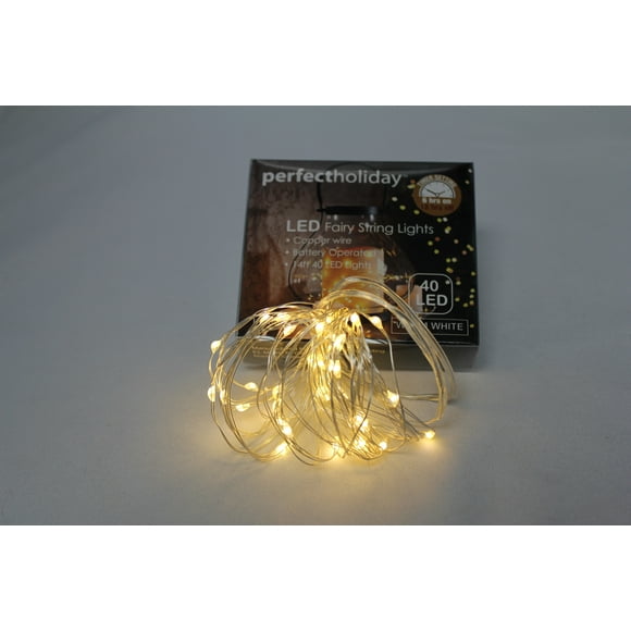 The Perfect Company 600066 40 LED Timer Copper String Light - Warm White