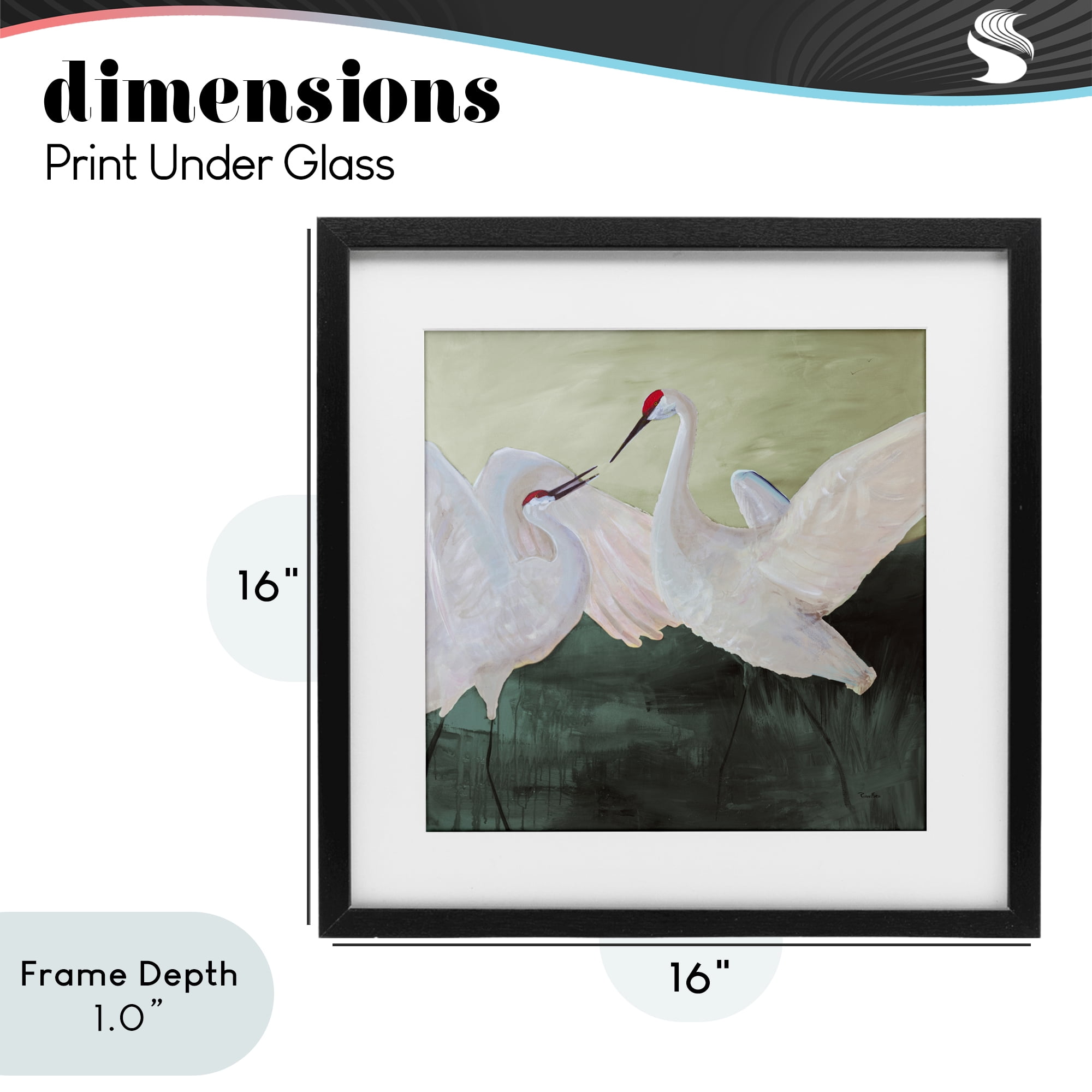 Stupell Industries White Sandhill Cranes Black Framed Print Under Glass, design by Robin Maria