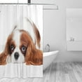 thumbnail image 2 of Coolnut Cavalier King Charles Spaniel Dog Bath Shower Curtain Liners 72"x72", 100% Polyester Waterproof with C-Shaped Curtain Hook Modern Bathroom Decoration 1 Panel, 2 of 5