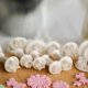 thumbnail image 3 of 33-Piece Fondant Mold Set Cake Tool Set Spring-Pressed Cartoon Pasta, 3 of 5