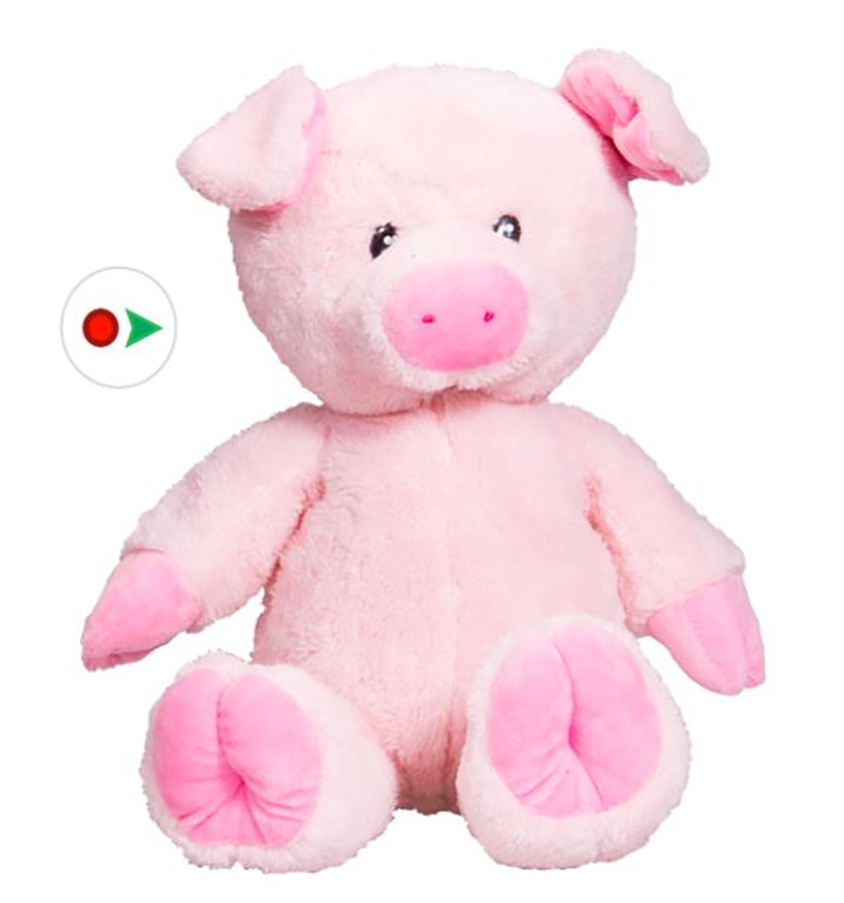 Record Your Own Plush 8 inch Pudge the Pig Ready 2 Love in a Few Easy