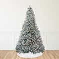 thumbnail image 1 of Northlight 9' Pre-Lit Flocked Winema Pine Artificial Christmas Tree - Clear Lights, 1 of 4