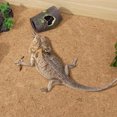thumbnail image 3 of BESTYASH Terrarium Bottom Carpet For Reptiles Reusable Liner For Worm Bins And Growth For Breeding Environments, 3 of 8