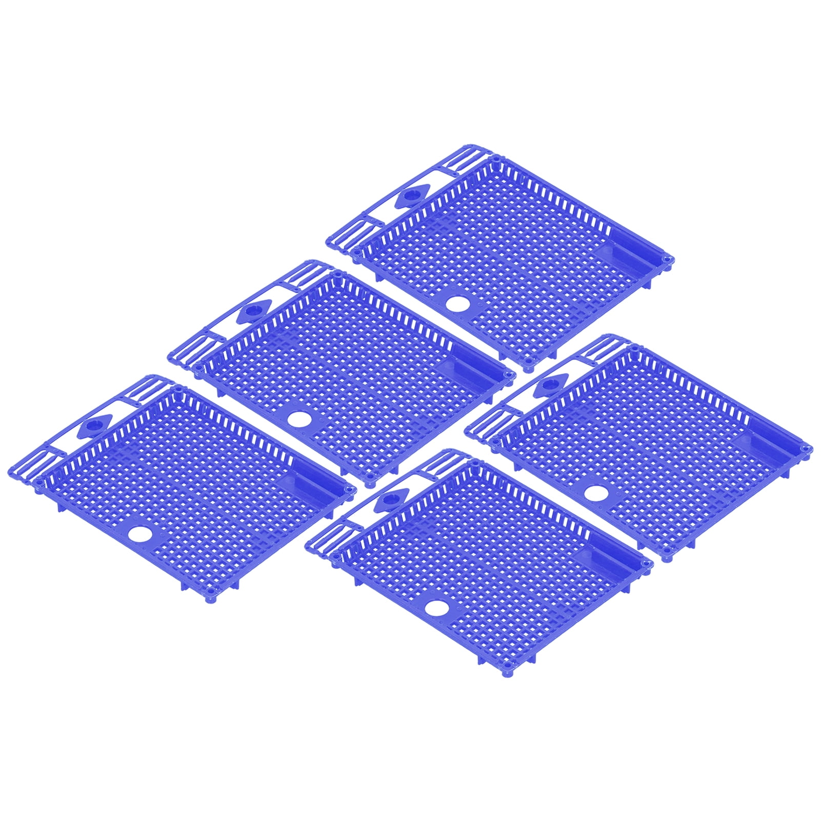 Kit De 10 Outils D'apiculteur, Fournitures D'apiculture, Brosse à Abeille, Attrape-reine, Kit De Démarrage D'apiculture, Outil Pour Apiculteurs Professionnels Et Débutants