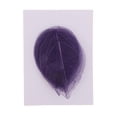 thumbnail image 2 of segolike 20 Packs Real Pressed Dried Flowers for Art Craft Scrapbooking, 2 of 9