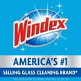 thumbnail image 2 of Windex Glass Cleaner Concentrate, Two 2.9 Ounce Concentrated Refill Bottles, 2 of 5