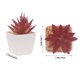 thumbnail image 5 of TEHAUX 10Ud Adornos Decorativos De Suculentas Y Cactus Artificiales Para Hogar Y Oficina, 5 of 6