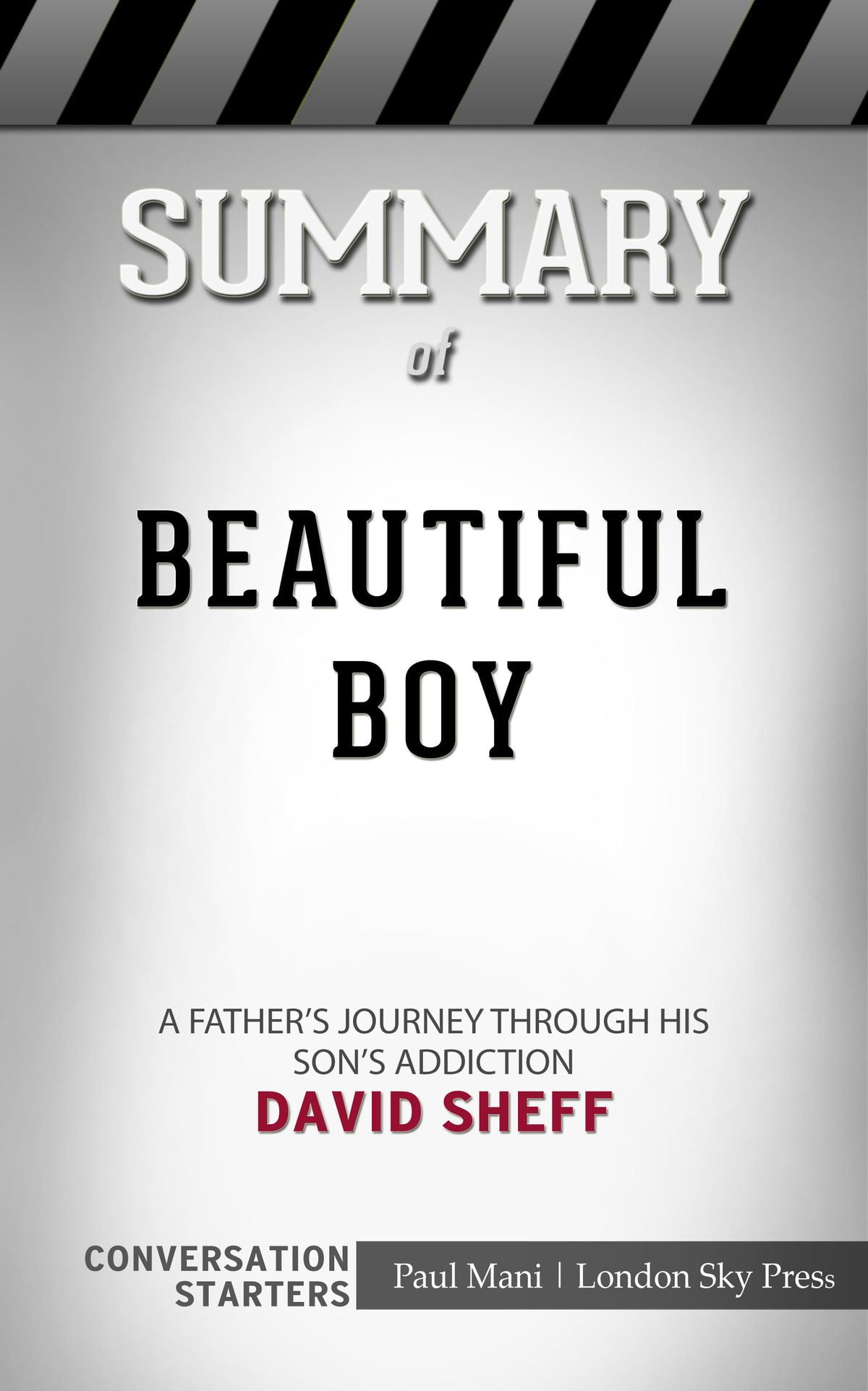 Summary of Beautiful Boy A Father's Journey Through His
