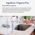 thumbnail image 5 of THE CLEAN PEOPLE Liquid Dish Soap - Clean, Simple Ingredients - Extra Scrubbing Power (Fragrance Free) 12 fl. oz (3 Pack), 5 of 6