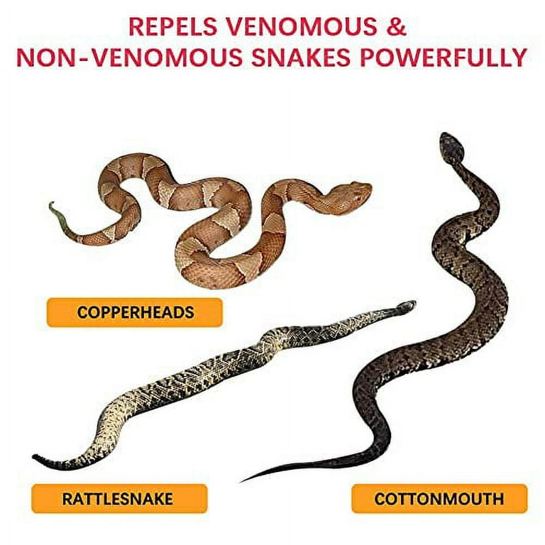 Dog friendly snake clearance repellent