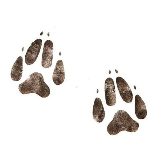 Dog Paw Prints Wall Stencil - DEE190 by DeeSigns