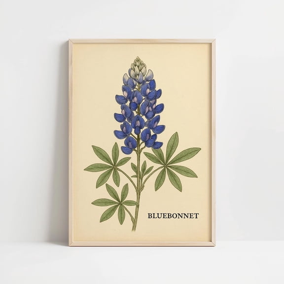 Vintage Bluebonnet Texas Wildflowers, Unframed Paper Print Size 8x12