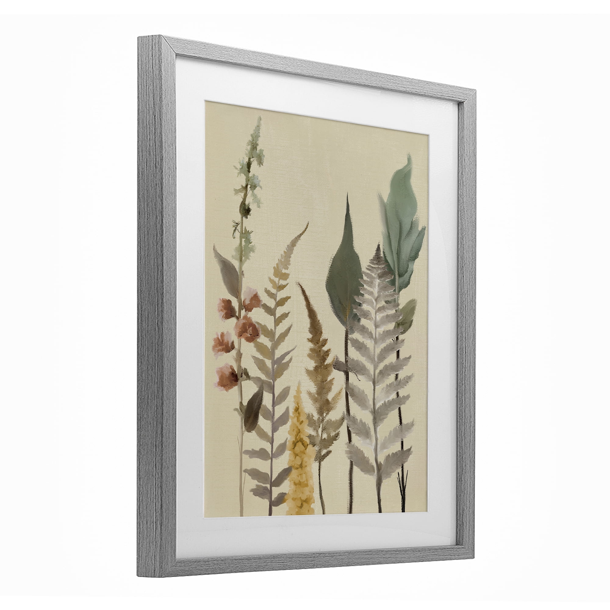 Stupell Industries Fall Botanicals Forest Ferns Gray Framed Print Under Glass, design by Elizabeth Medley