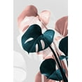 thumbnail image 2 of Artographie Studio 13x18 White Modern Wood Framed Museum Art Print Titled - Monstera Creative 17, 2 of 4