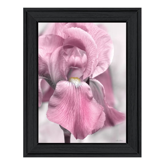 Trendy Decor 4U "Pink Iris" Framed Wall Art, Modern Home Décor Black Framed Print for Living Room, Bedroom & Farmhouse Wall Decoration by Lori Deiter 15"x19"
