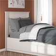 thumbnail image 1 of Zoe Twin Headboard, Ivory Oak, 1 of 9
