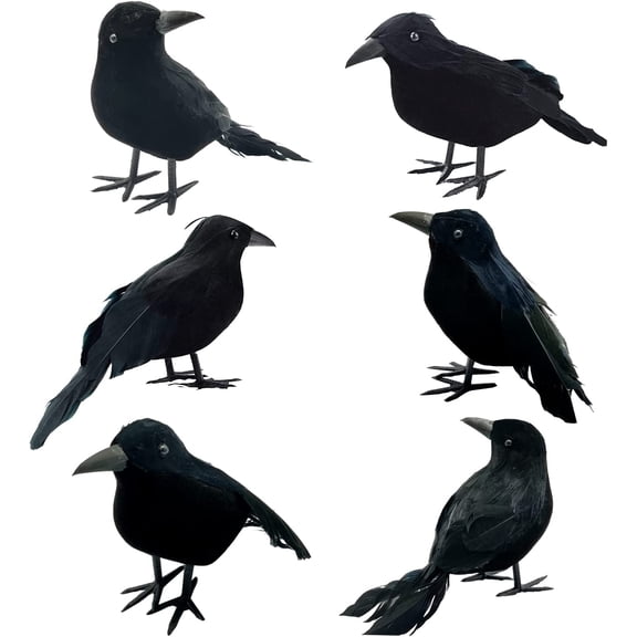 Jollyzo 12 Pieces Halloween Black Crows Feathered Crows Realistic Looking Halloween Handmade Feathered Crow for Halloween Indoor Outdoors Ravens Birds Decoration, 3 Styles