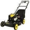 Briggs and Stratton 22" Gas Lawn Mower