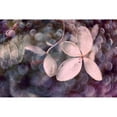 thumbnail image 3 of Stalus, Judy 24x17 Black Modern Framed Museum Art Print Titled - Purple Hydrangea, 3 of 5