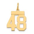 thumbnail image 1 of 14k Yellow Gold Small Number 48 Necklace Charm Pendant Charms, 1 of 8