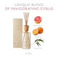 thumbnail image 4 of Agrume Reed Diffuser 16oz diffuser by Alora Ambiance, 4 of 4
