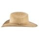 thumbnail image 3 of Sombrero Unisex Camel Gamuzina Gamuza Americana "M" Nueva Imagen, 3 of 5