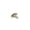 Satin Nickel Blackend, variant on Ives 69 F10B 613/US10B Door Stops, Oil Rubbed Dark Bronze Finish, Wrought Steel