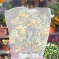 thumbnail image 3 of EeaseCA 3pcs Insect Barrier Netting Plant Covers Drawstring Plant Cover Bags Pest Bug Barrier Plant Protective Covers, 3 of 9