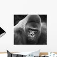 thumbnail image 1 of Black and White up Wall Mural by Wallmonkeys Peel and Stick Graphic (18 in W x 16 in H) WM328004, 1 of 4