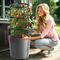 thumbnail image 1 of Slsy Jardinera de Tomates 63" con Enrejado y Ruedas, Autorriego, Soporte para Plantas, Ideal para Jardines, Patios, Invernaderos, Interior y Exterior, Flores y Verduras, 1 of 9