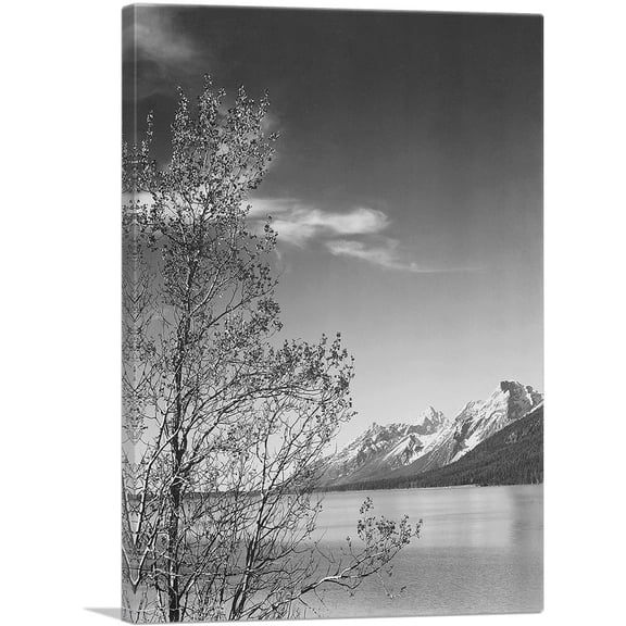 ARTCANVAS Grand Teton and Tree - National Park - Wyoming Canvas Art Print by Ansel Adams - Size: 40" x 26" (0.75" Deep)
