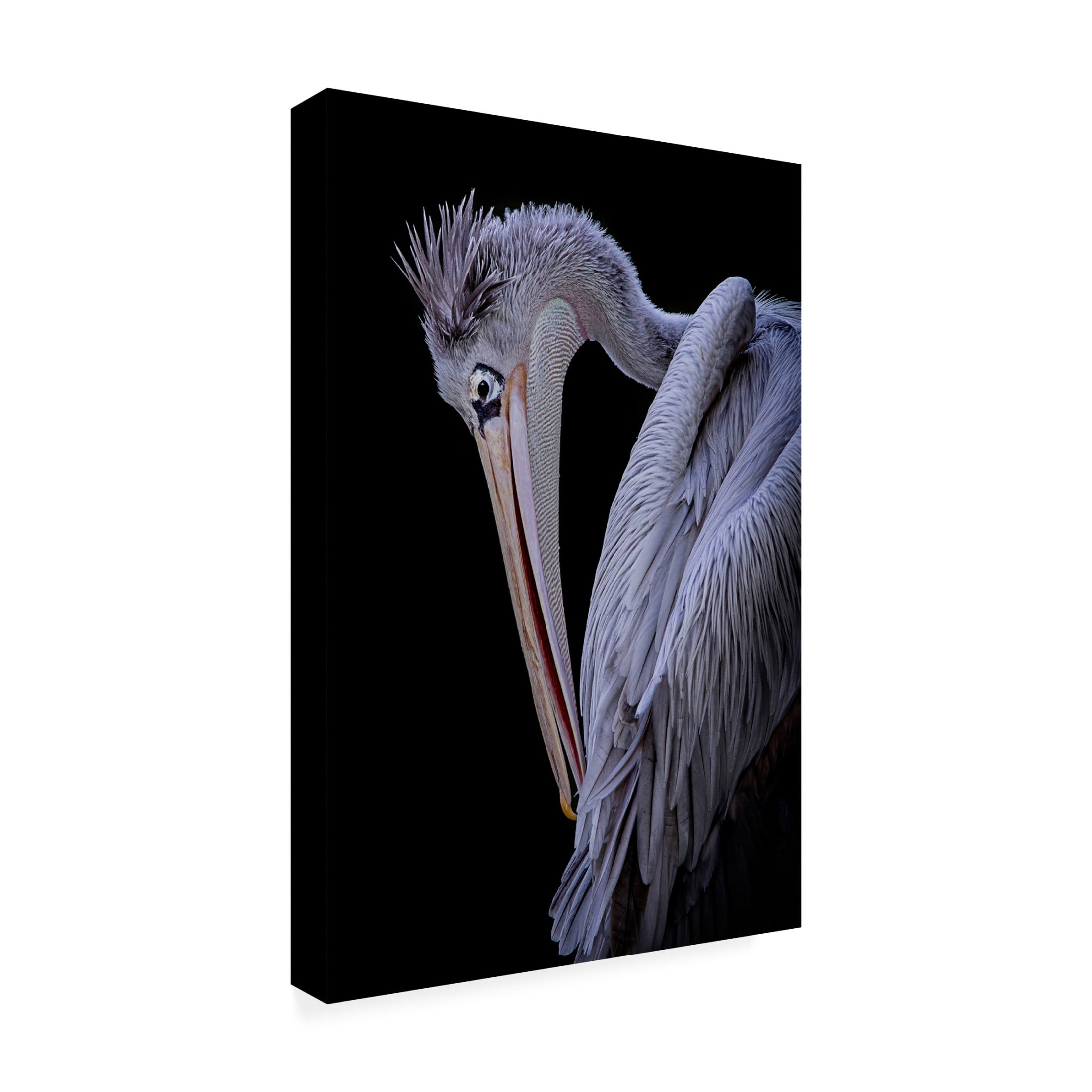 Trademark Fine Art Hardik Pandya  Untitled Canvas Wall Art