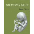 thumbnail image 1 of Human Brain, Paul Glees Paperback, 1 of 2