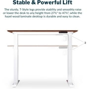 Vari Essential Electric Standing Desk Ergonomic Sit-to-Stand Home & Office Computer Desk, 48 x 24 Hazel Wood
