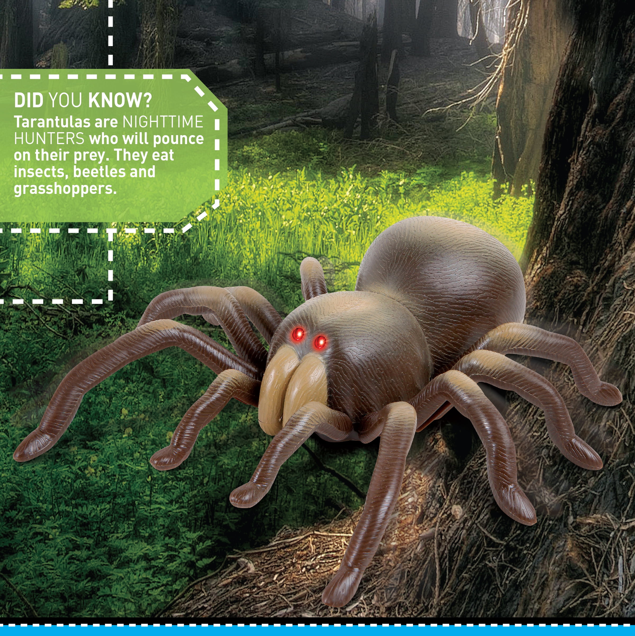 discovery tarantula toy